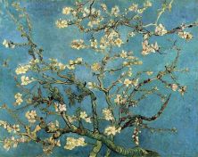 Haga click para ver la imagen ampliada branches with almond blossom.jpg